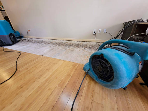Professional Sewage Cleanup technician working in Petersburg, MI